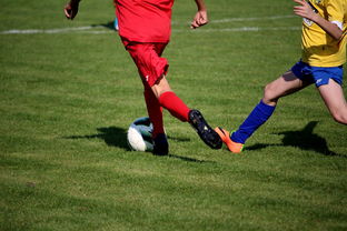 LeyuSports-国家体育场馆运营管理论坛探讨智能化方向，国家体育总局体育场馆运营管理办法